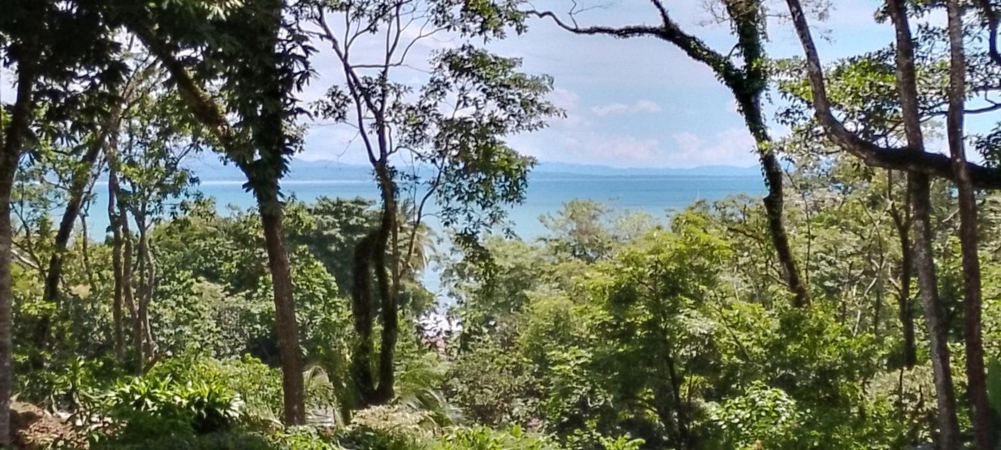 帕沃内斯 Ocean View Modern Dreamhouse酒店 外观 照片